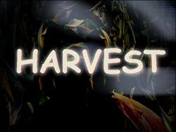 Archivo:Harvest - 01.jpg