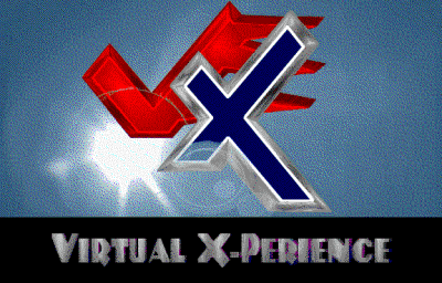 Virtual X-Perience - Logo.png