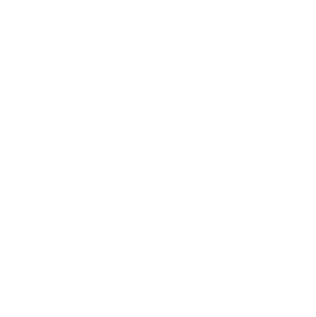 Future Lighthouse - Logo.png