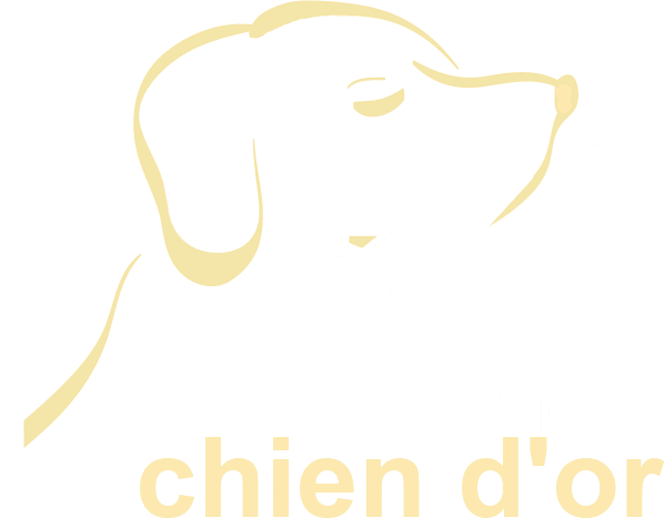 Studio Chien d'Or - Logo.png
