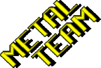 Metal Team - Logo.png