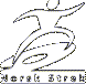Norsk Strek - Logo.png