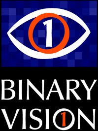 Binary Vision - Logo.png