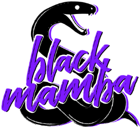 Black Mamba Studio - Logo.png