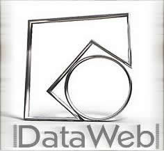 DataWeb - Logo.jpg