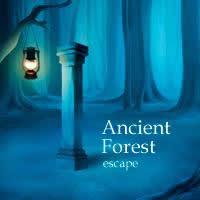 Ancient Forest Escape - Portada.jpg