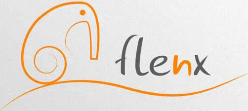 Flenx - Logo.jpg