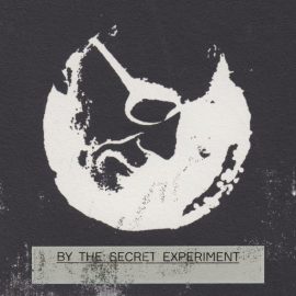 The Secret Experiment - Logo.jpg