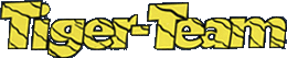 Tiger-Team Series - Logo.png