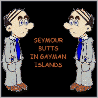 Seymour Butts in Gayman Islands - Portada.png