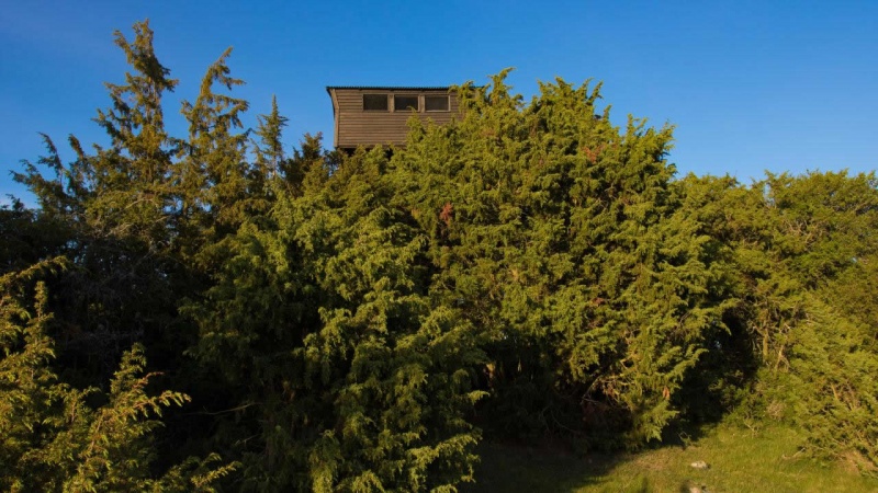 Archivo:The Birdwatcher - 11.jpg