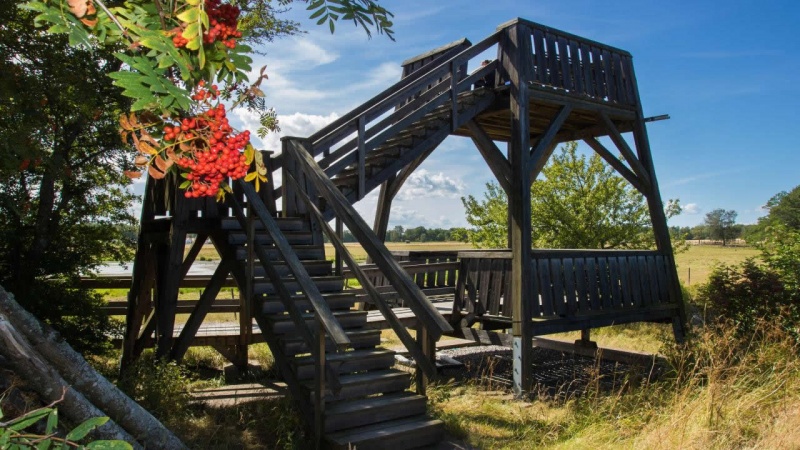 Archivo:The Birdwatcher - 14.jpg