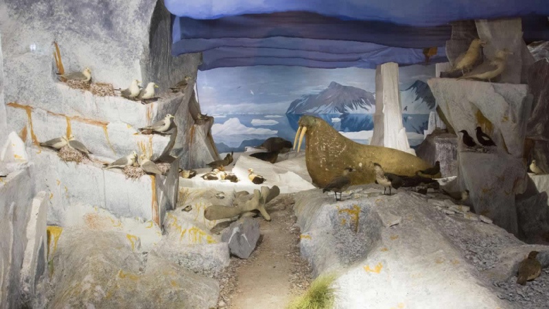 Archivo:The Birdwatcher - 06.jpg