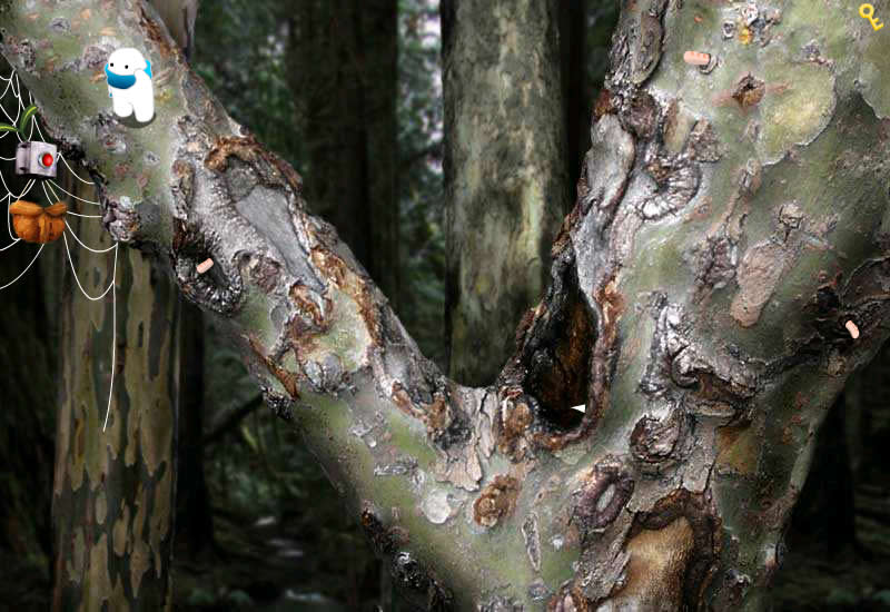 Archivo:The Blue Beanie - 03.jpg