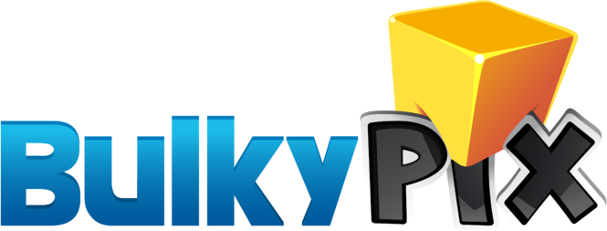 BulkyPix - Logo.png