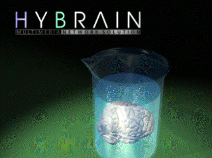 Archivo:Hybrain Multimedia Network Solution - Logo.png