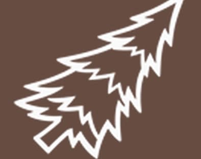 Archivo:Physics Camp - Portada.jpg