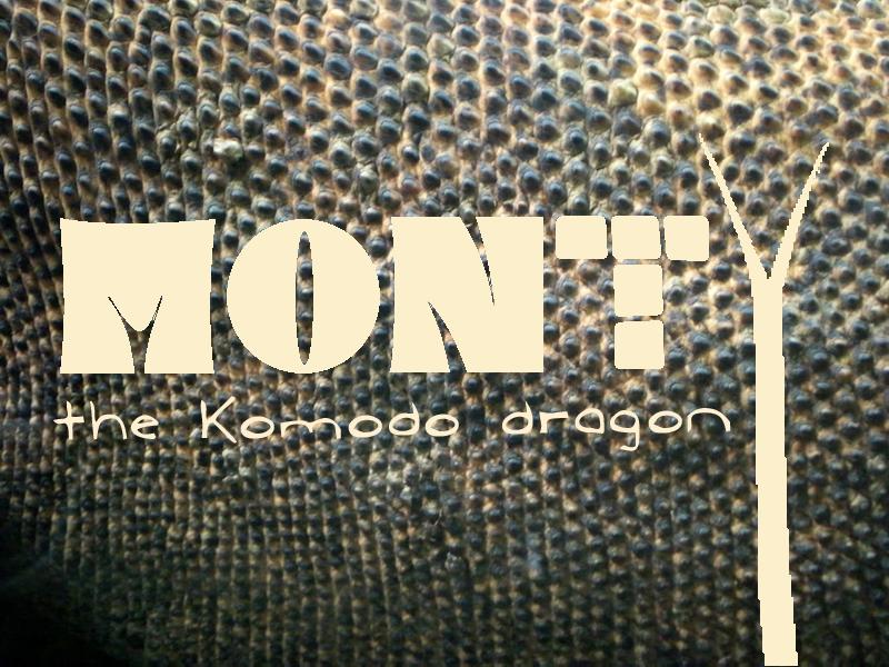 Monty the Komodo Dragon - 03.jpg