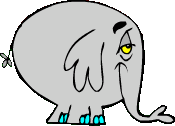 Elefante