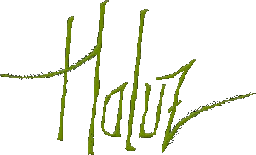 Haluz Series - Logo.png