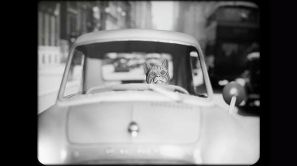 Archivo:Cat Detective - Albert Wilde - 02.jpg