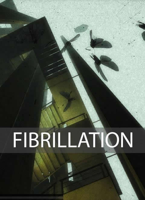Fibrillation - Portada.jpg
