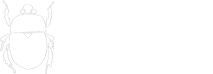 Archivo:IndieBug - Logo.png