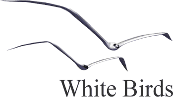 White Birds Productions - Logo.png