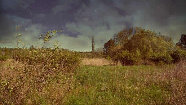 Archivo:Amos Green's Final Repose - 14.jpg