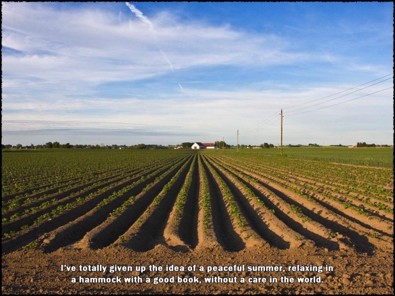 Archivo:Amber's Blood - 04.jpg