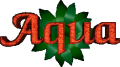 Aqua (2001, Emerald Imaging) - Logo.png