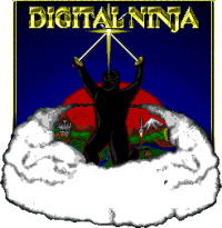 Digital Ninja - Logo.png
