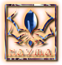 Nayma Software - Logo.png
