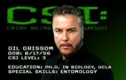 CSI The - Experience - Gil Grissom.jpg