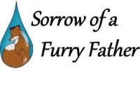 Sorrow of a Furry Father - Portada.jpg