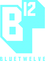 BlueTwelve Studio - Logo.png