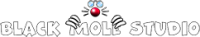 Black Mole Studio - Logo.png